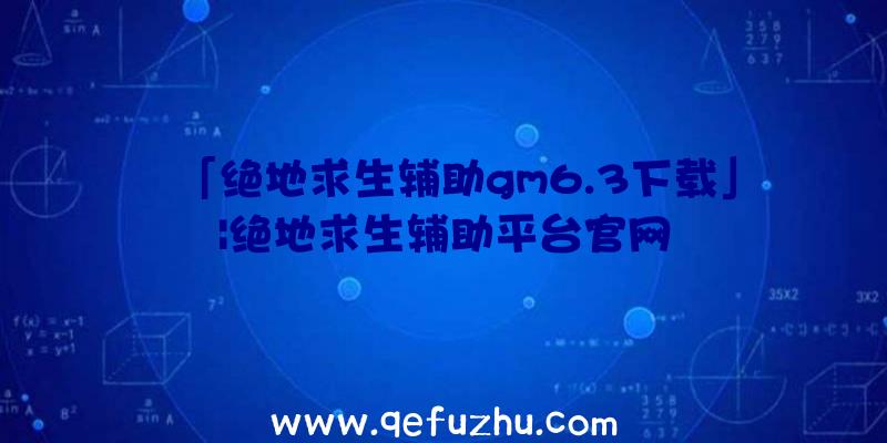 「绝地求生辅助gm6.3下载」|绝地求生辅助平台官网